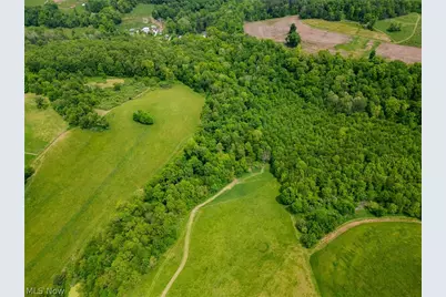 County Road 407, Millersburg, OH 44654 - Photo 4