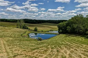 39780 State Route 800, Woodsfield, OH 43793 - Photo 38