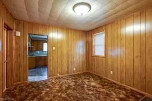 1031 Pike St, Alliance, OH 44601 - Photo 10