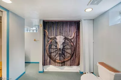 250 Greenridge Drive, Geneva, OH 44041 - Photo 36
