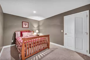 880 Shadow Creek Trail, Amherst, OH 44001 - Photo 30