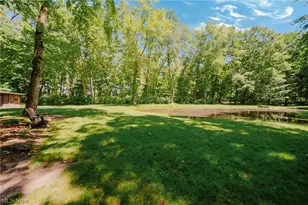 4879 Boneta Rd, Medina, OH 44256 - Photo 46