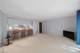 3949 Lake Run Blvd, Stow, OH 44224 - Photo 10