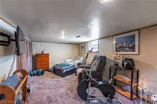2305 Portman Ave, Loveland, OH 44109 - Photo 44