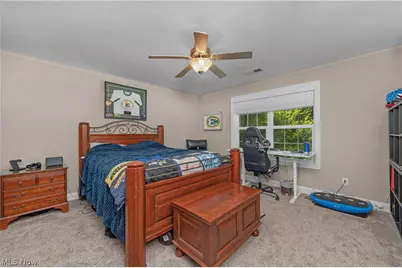 1045 N Quarry Road, Amherst, OH 44001 - Photo 28