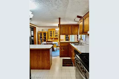 1324 Lake Vue Drive, Roaming Shores, OH 44085 - Photo 4