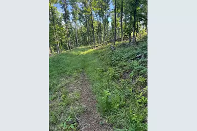 Stone Quarry Road, Danville, OH 43014 - Photo 48