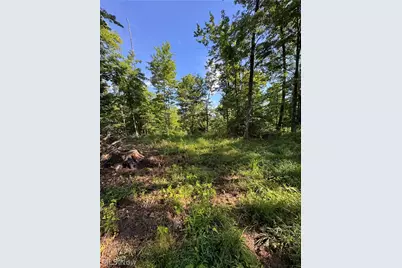 Stone Quarry Road, Danville, OH 43014 - Photo 42