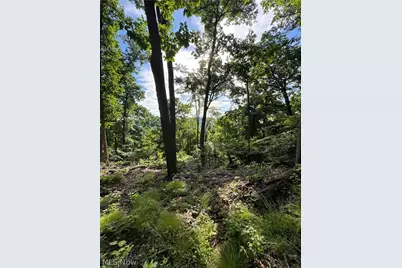 Stone Quarry Road, Danville, OH 43014 - Photo 6