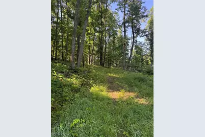 Stone Quarry Road, Danville, OH 43014 - Photo 10