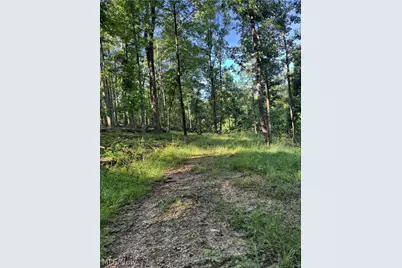 Stone Quarry Road, Danville, OH 43014 - Photo 14