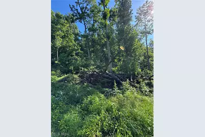 Stone Quarry Road, Danville, OH 43014 - Photo 32