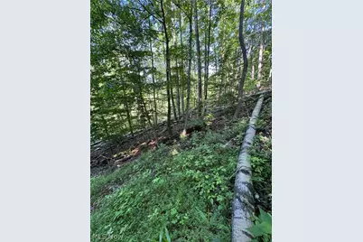 Stone Quarry Road, Danville, OH 43014 - Photo 24