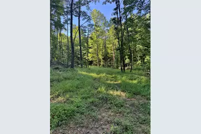 Stone Quarry Road, Danville, OH 43014 - Photo 22