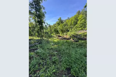 Stone Quarry Road, Danville, OH 43014 - Photo 36