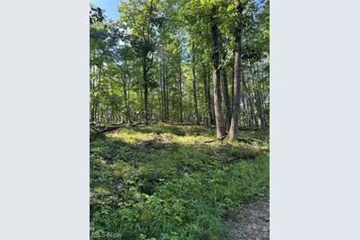 Stone Quarry Road, Danville, OH 43014 - Photo 12