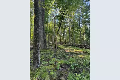 Stone Quarry Road, Danville, OH 43014 - Photo 16
