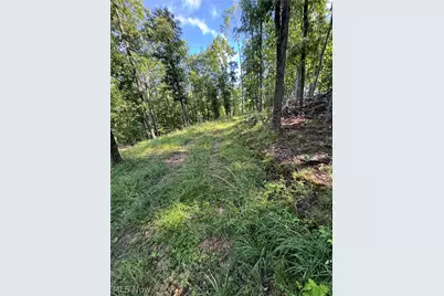Stone Quarry Road, Danville, OH 43014 - Photo 46