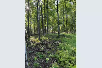 Stone Quarry Road, Danville, OH 43014 - Photo 20