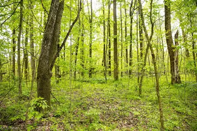 12025 Pleasant Valley Road, Frazeysburg, OH 43822 - Photo 10