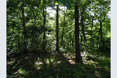280 Linton Hill Road, Coolville, OH 45723 - Photo 8