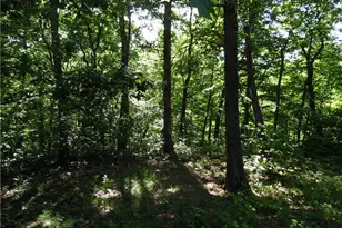 280 Linton Hill Rd, Coolville, OH 45723 - Photo 8