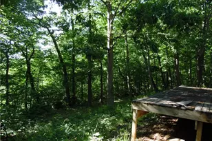 280 Linton Hill Rd, Coolville, OH 45723 - Photo 6