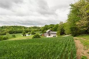 28957 Tr 240, Fresno, OH 43824 - Photo 2