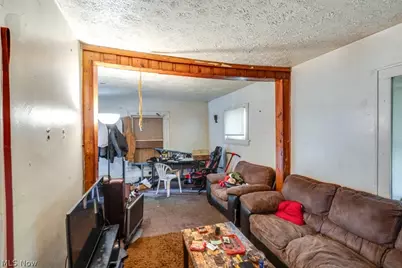 1131 Victory Street, Akron, OH 44301 - Photo 4