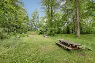 8330 Spieth Rd, Litchfield, OH 44253 - Photo 38