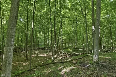 767 County Road 500, Ashland, OH 44805 - Photo 4