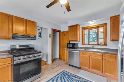 114 Vine Street, Fairport Harbor, OH 44077 - Photo 14