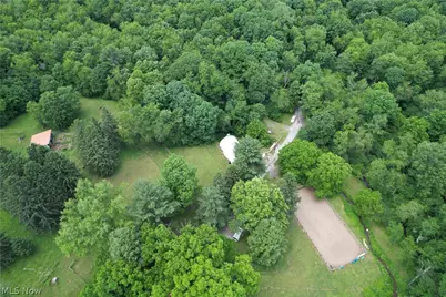 11811 Gaston Road, Negley, OH 44441 - Photo 4