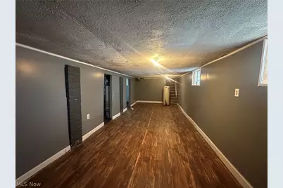 875 E 131st Street, Loveland, OH 44108 - Photo 16