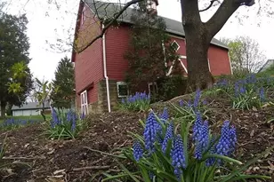 7170 Morning Star Trail, Sagamore Hills, OH 44067 - Photo 46