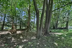 41 Gaylord Dr, Munroe Falls, OH 44262 - Photo 42