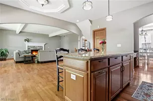 8255 Hemingway Ln, Concord Twp, OH 44060 - Photo 6