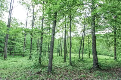 10195 Goosecreek Road, Roseville, OH 43777 - Photo 42