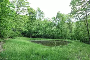 10195 Goosecreek Rd, Roseville, OH 43777 - Photo 40