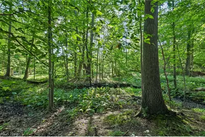 7140 Indian Trail, Poland, OH 44514 - Photo 50