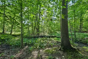 7140 Indian Trail, Poland, OH 44514 - Photo 44