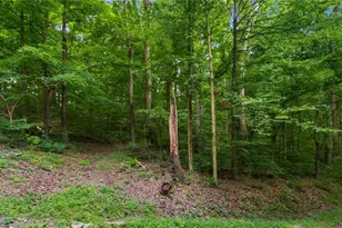 72845 Old Twenty One Rd, Kimbolton, OH 43749 - Photo 34