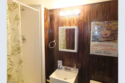 6102 Orchard Grove Avenue, Loveland, OH 44144 - Photo 22