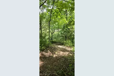 5170 State Route 821, Whipple, OH 45788 - Photo 8