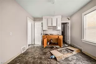 12020 Parkview Ave, Loveland, OH 44120 - Photo 8