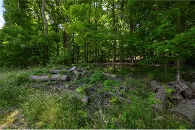 4609 Barnsleigh Drive #47, Akron, OH 44333 - Photo 4