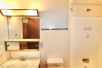 113 Gaylord Street, Lodi, OH 44254 - Photo 14