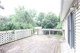 113 Gaylord St, Lodi, OH 44254 - Photo 28