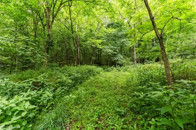 Long Road, Chandlersville, OH 43727 - Photo 6