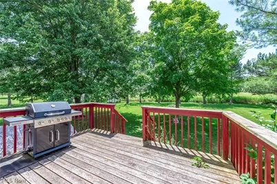 43891 Bursley Road, Wellington, OH 44090 - Photo 44